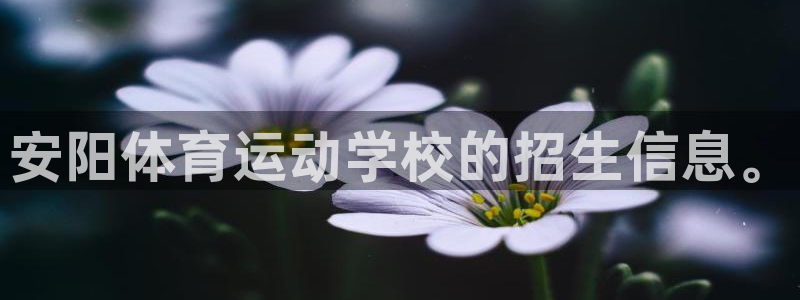 J9官网下载是干嘛的公司：安阳体育运动学校的招生信息