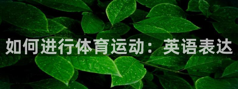 J9官方正版app娱乐40996：如何进行体育运动：