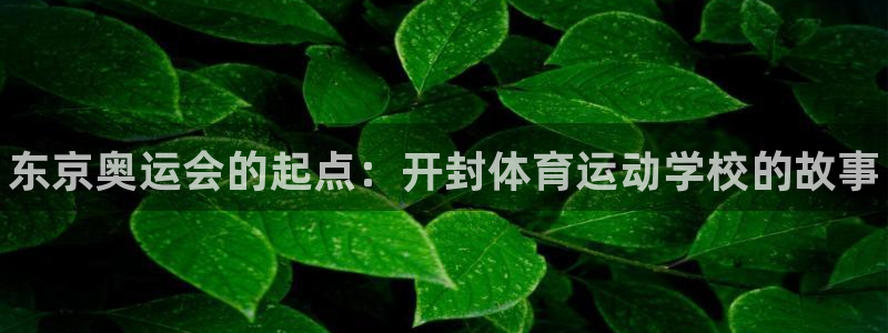 J9官方正版app娱乐：东京奥运会的起点：开封体育运