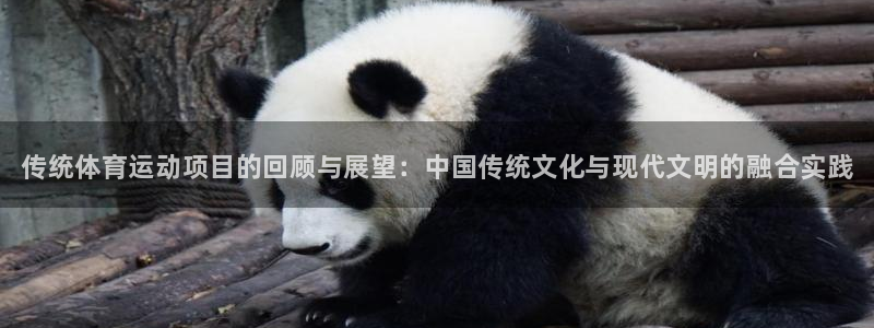 J9官网下载平台是正规平台吗安全吗：传统体育运动项目
