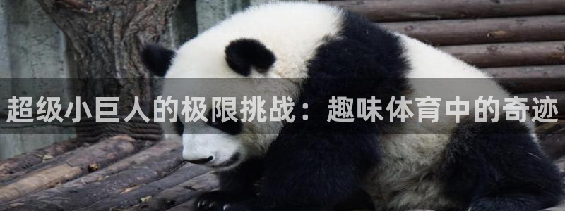 J9官方正版app娱乐40996：超级小巨人的极限挑战：趣味