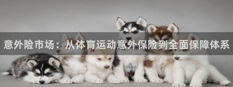 J9官网下载：意外险市场：从体育运动意外保险到全面保障体系