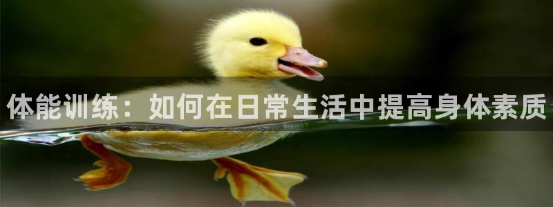 J9官方正版app娱乐：体能训练：如何在日常生活中提高身体素