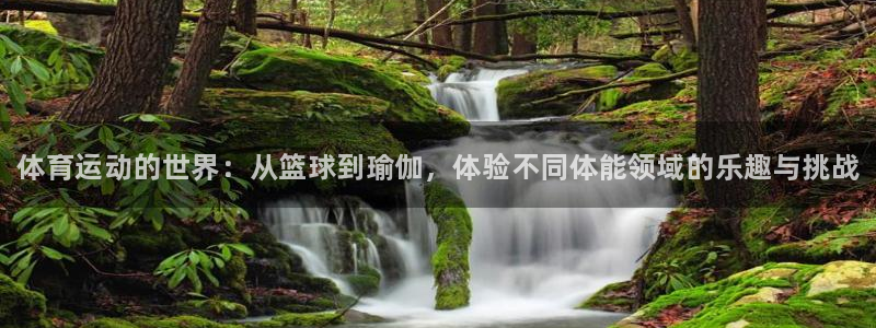 J9官网下载招商电话号码查询是多少