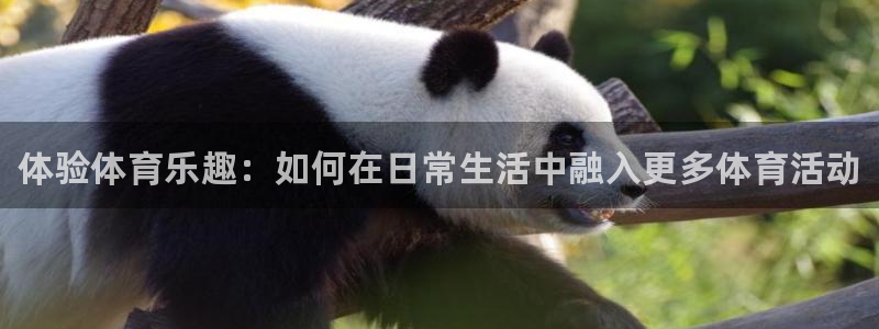 J9官方正版app科技：体验体育乐趣：如何在日常生活中融入更