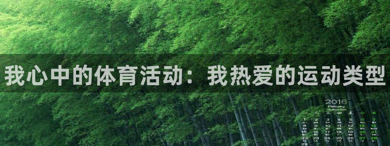 J9官网下载平台假的吗是真的吗：我心中的体育活动：我热爱的运