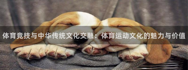 J9官网下载平台注册流程图：体育竞技与中华传统文化交融：体育