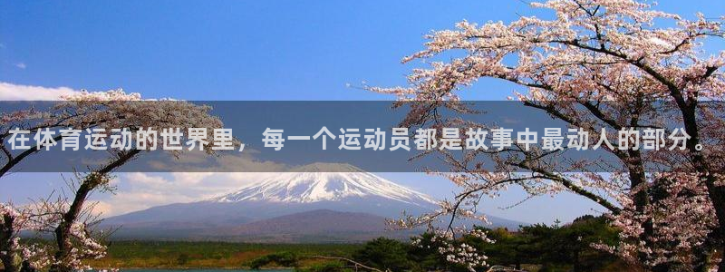 J9官方正版app神州：在体育运动的世界里，每一个运动员都是