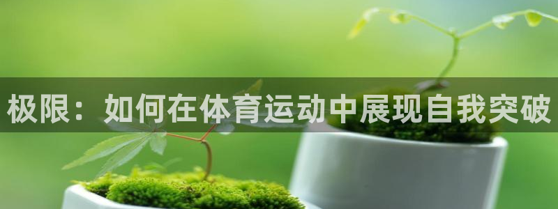 J9官方正版app娱乐下载