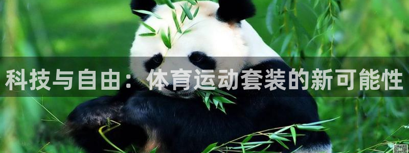 J9官网下载联系电话：科技与自由：体育运动套装的新可