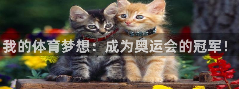 J9官方正版app集团官网首页