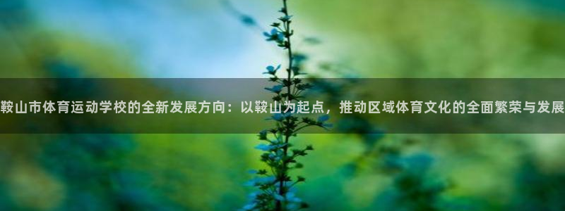 J9官网下载是干嘛的公司：鞍山市体育运动学校的全新发