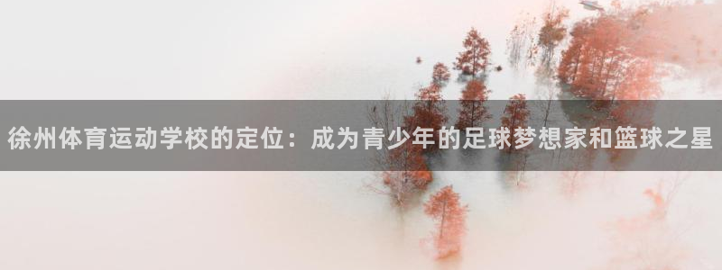 J9官网下载招商电话地址查询：徐州体育运动学校的定位