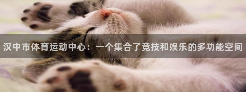 J9官网下载招商电话号码是多少啊：汉中市体育运动中心