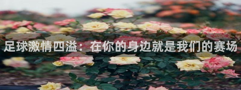 德国J9官方正版app集团：足球激情四溢：在你的身边