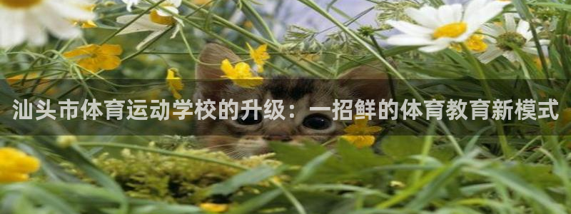 J9官方正版app娱乐下载:汕头市体育运动学校的升级:一招鲜