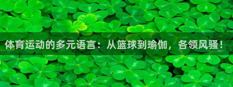 J9官网下载招商电话号码查询是多少:体育运动的多元语言:从篮