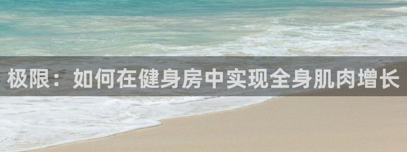 J9官网下载招商电话号码查询：极限：如何在健身房中实现全身肌