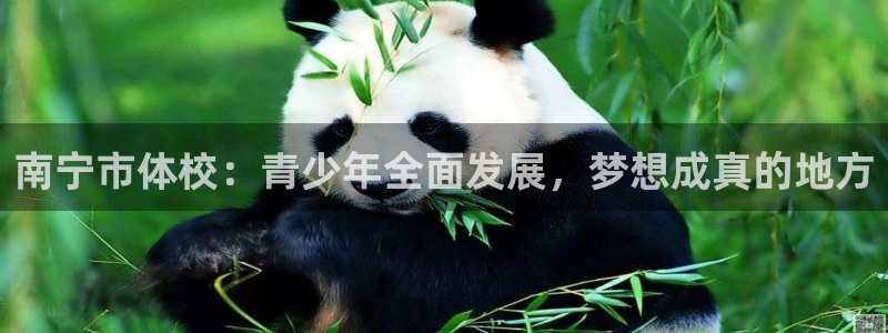注册J9官方正版app：南宁市体校：青少年全面发展，