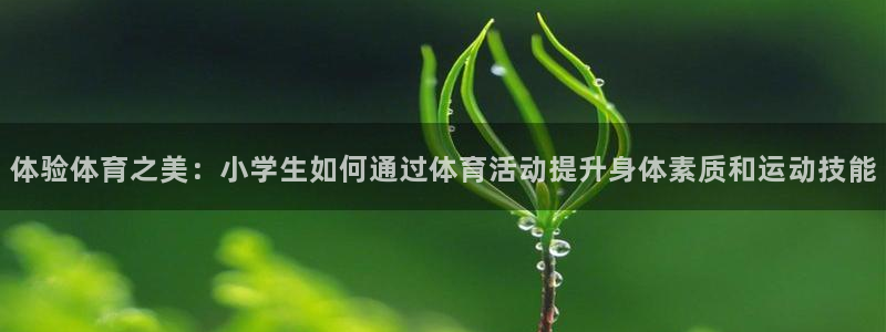 J9官网下载招商电话号码查询：体验体育之美：小学生如