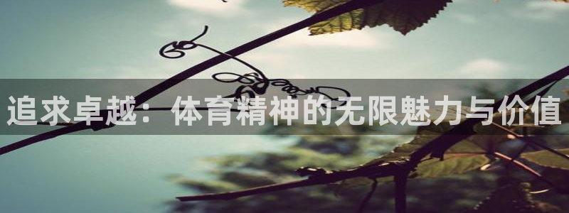 J9官网下载招商电话地址：追求卓越：体育精神的无限魅