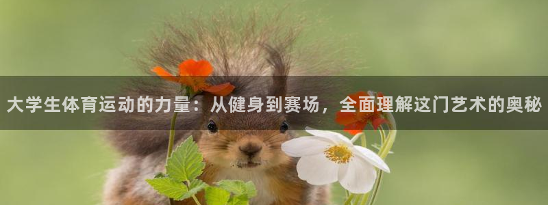 J9官方正版app娱乐首页网站大全:大学生体育运动的力量:从