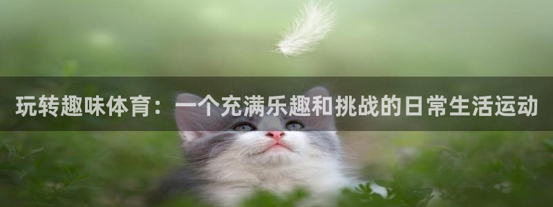 J9官方正版app娱乐40996：玩转趣味体育：一个充满乐趣