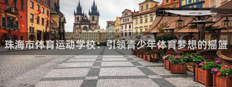 J9官网下载平台注册要钱吗安全吗：珠海市体育运动学校：引领青